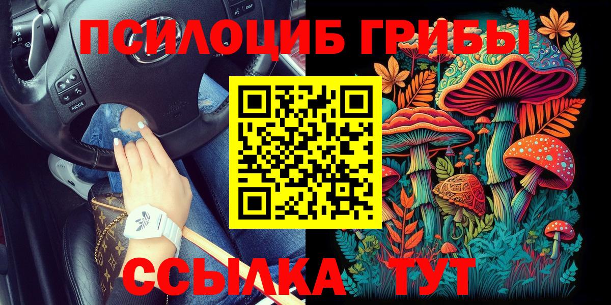 Будённовск  Псилоцибиновые грибы ЛСД  Вход с VPN 